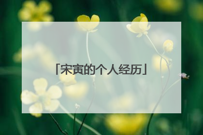 宋寅的个人经历