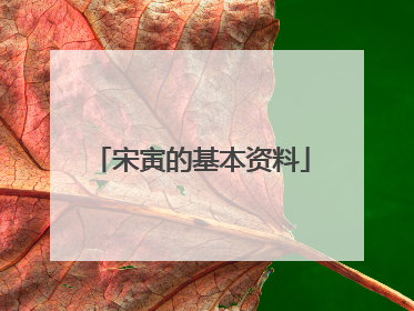 宋寅的基本资料