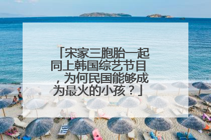 宋家三胞胎一起同上韩国综艺节目,为何民国能够成为最火的小孩?