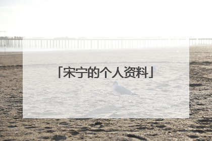宋宁的个人资料