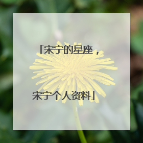 宋宁的星座，宋宁个人资料