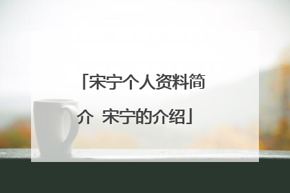宋宁个人资料简介 宋宁的介绍