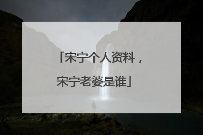 宋宁个人资料，宋宁老婆是谁