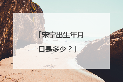 宋宁出生年月日是多少?