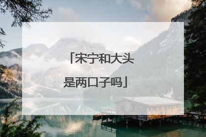 宋宁和大头是两口子吗