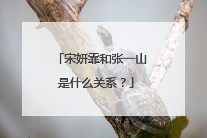 宋妍霏和张一山是什么关系?