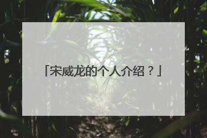 宋威龙的个人介绍?