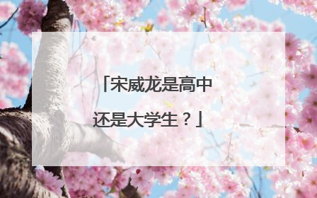 宋威龙是高中还是大学生？
