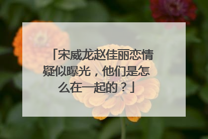 宋威龙赵佳丽恋情疑似曝光，他们是怎么在一起的？