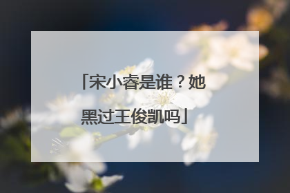 宋小睿是谁？她黑过王俊凯吗