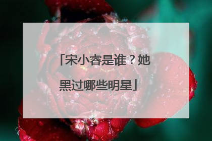 宋小睿是谁?她黑过哪些明星