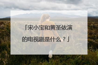 宋小宝和黄圣依演的电视剧是什么？