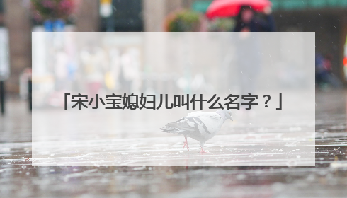 宋小宝媳妇儿叫什么名字？