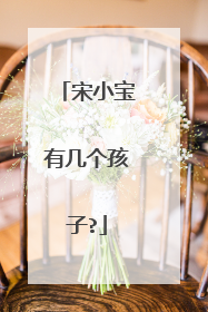 宋小宝有几个孩子?
