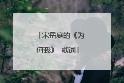 宋岳庭的《为何我》 歌词