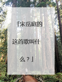 宋岳庭的这首歌叫什么？