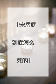 宋岳庭到底怎么死的