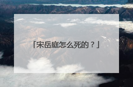 宋岳庭怎么死的？