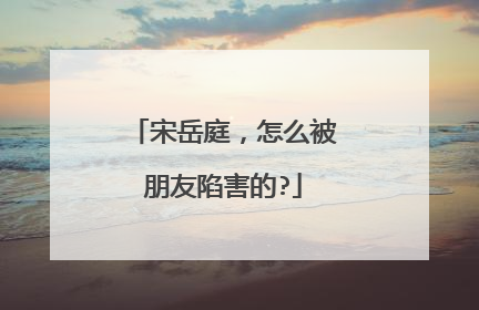 宋岳庭，怎么被朋友陷害的?