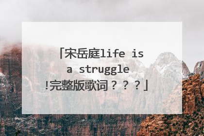 宋岳庭life is a struggle!完整版歌词？？？