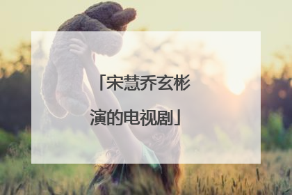 宋慧乔玄彬演的电视剧