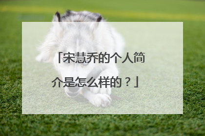 宋慧乔的个人简介是怎么样的?