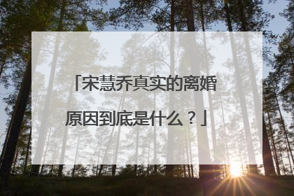 宋慧乔真实的离婚原因到底是什么?
