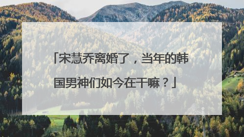宋慧乔离婚了,当年的韩国男神们如今在干嘛?