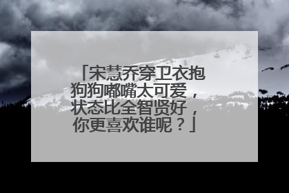 宋慧乔穿卫衣抱狗狗嘟嘴太可爱，状态比全智贤好，你更喜欢谁呢？