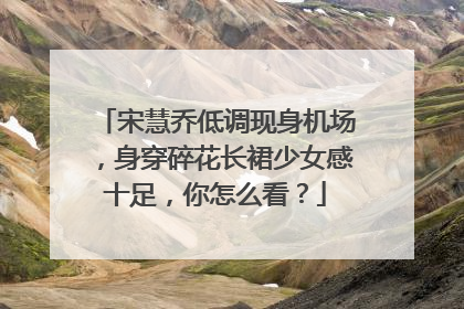 宋慧乔低调现身机场，身穿碎花长裙少女感十足，你怎么看？