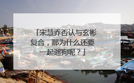 宋慧乔否认与玄彬复合,那为什么还要一起遛狗呢?