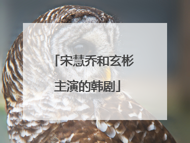 宋慧乔和玄彬主演的韩剧