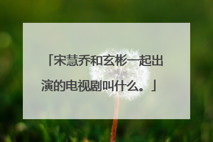 宋慧乔和玄彬一起出演的电视剧叫什么。