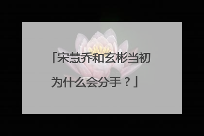 宋慧乔和玄彬当初为什么会分手？