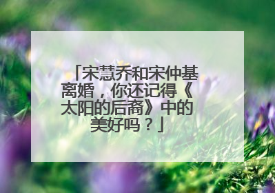 宋慧乔和宋仲基离婚,你还记得《太阳的后裔》中的美好吗?