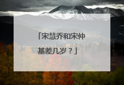 宋慧乔和宋仲基差几岁?