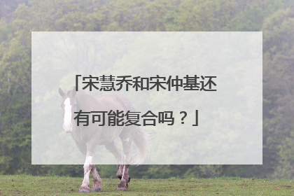 宋慧乔和宋仲基还有可能复合吗？