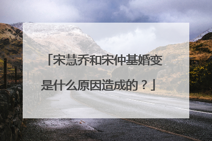 宋慧乔和宋仲基婚变是什么原因造成的？