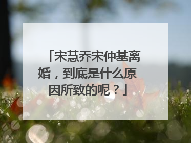 宋慧乔宋仲基离婚,到底是什么原因所致的呢?