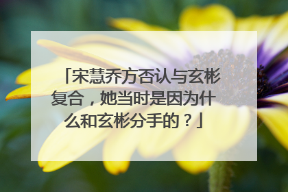 宋慧乔方否认与玄彬复合,她当时是因为什么和玄彬分手的?