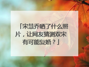 宋慧乔晒了什么照片，让网友猜测双宋有可能复婚？