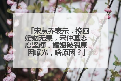 宋慧乔表示:挽回婚姻无果,宋仲基态度坚硬,婚姻破裂原因曝光,啥原因?