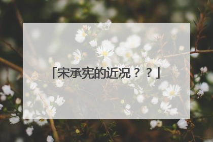 宋承宪的近况??