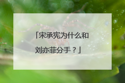 宋承宪为什么和刘亦菲分手？