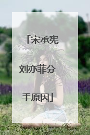 宋承宪刘亦菲分手原因