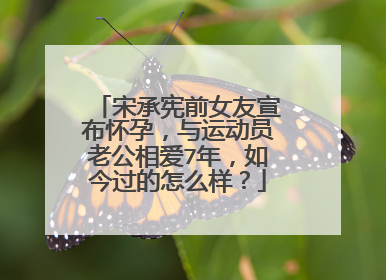 宋承宪前女友宣布怀孕,与运动员老公相爱7年,如今过的怎么样?