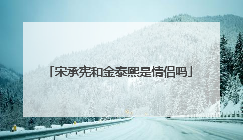 宋承宪和金泰熙是情侣吗