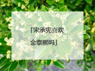 宋承宪喜欢金泰熙吗