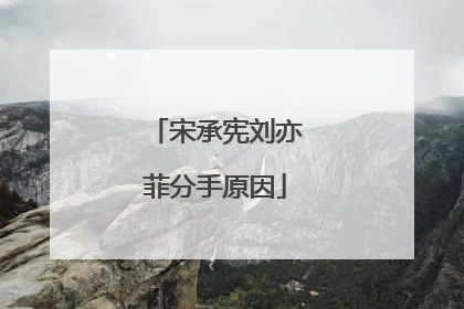 宋承宪刘亦菲分手原因