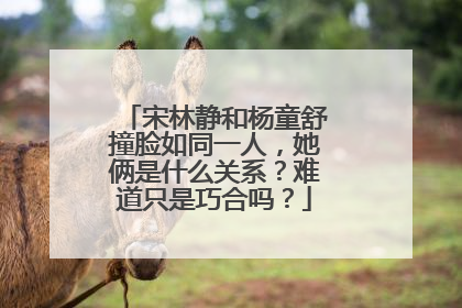 宋林静和杨童舒撞脸如同一人,她俩是什么关系?难道只是巧合吗?